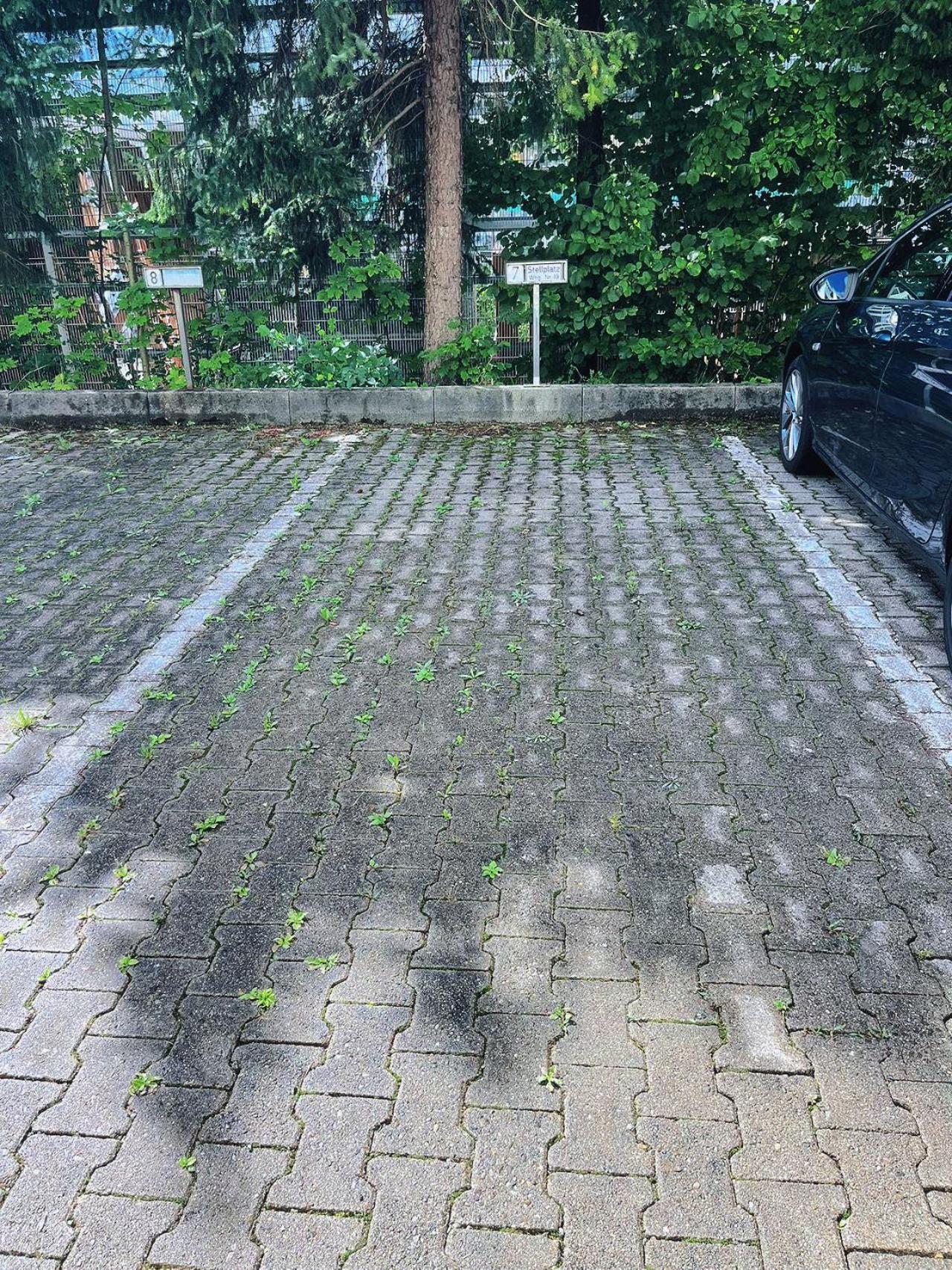 Grosszuegige Wohnung, Bergblick, Vintage Sonthofen Luaran gambar
